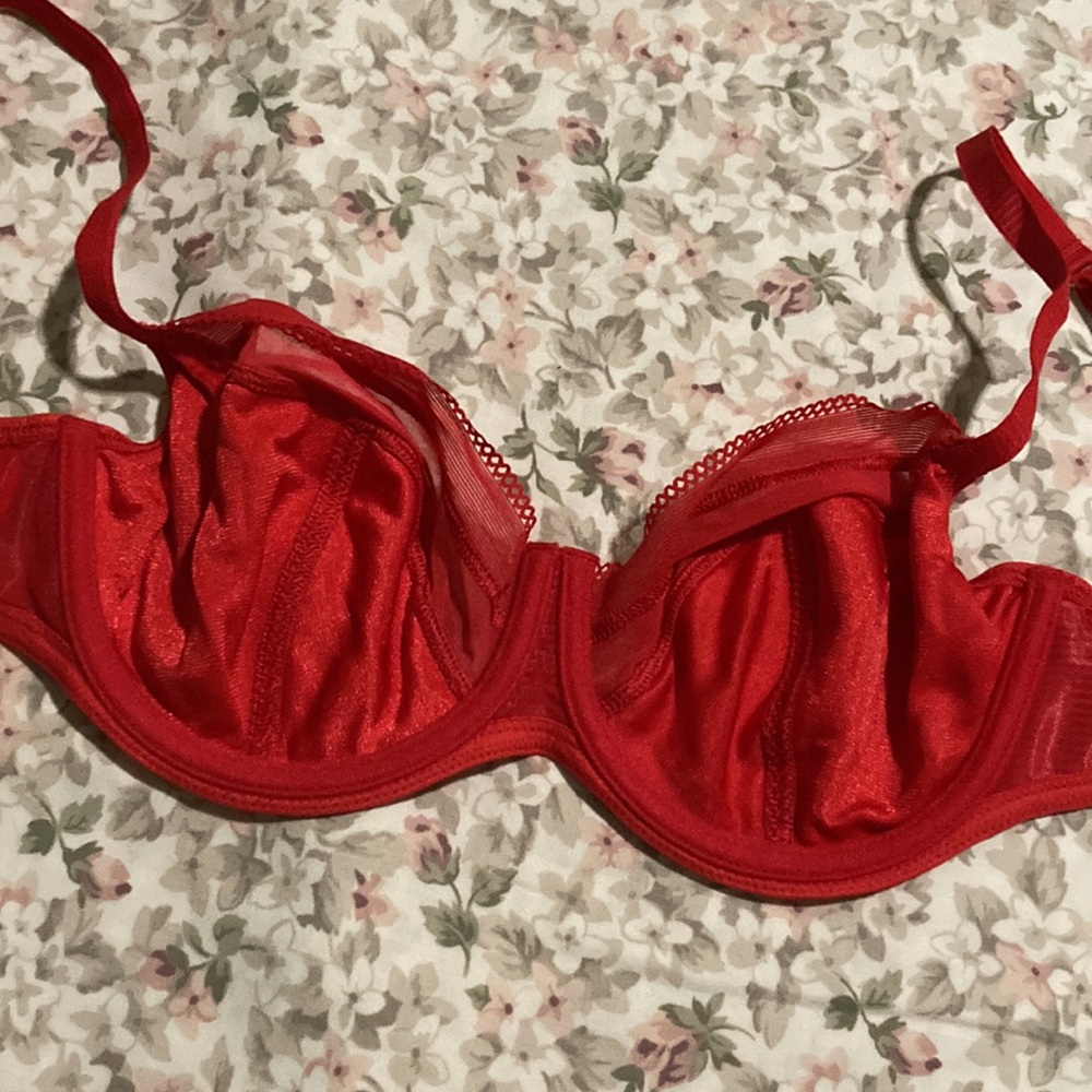 Conturelle Red Bra - Picture 4 of 9
